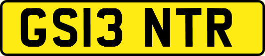 GS13NTR