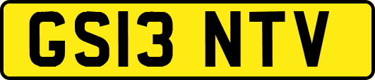 GS13NTV