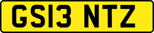 GS13NTZ