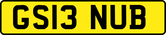 GS13NUB