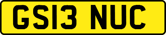 GS13NUC