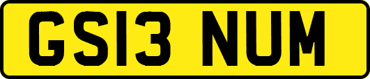 GS13NUM
