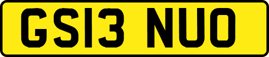 GS13NUO