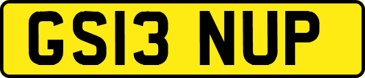 GS13NUP