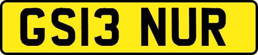 GS13NUR