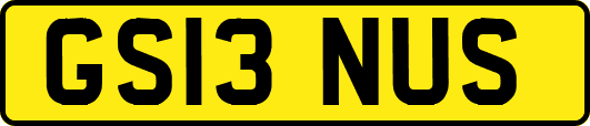 GS13NUS