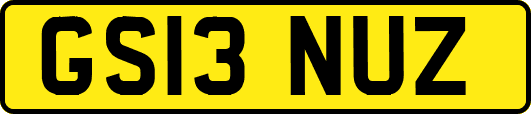 GS13NUZ