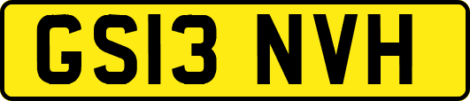 GS13NVH