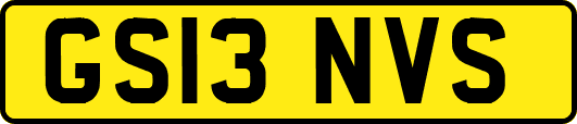 GS13NVS
