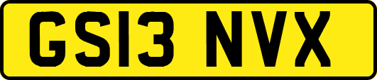 GS13NVX