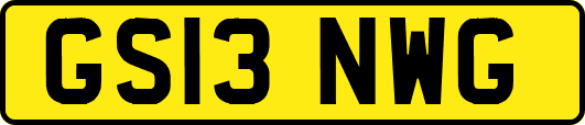 GS13NWG