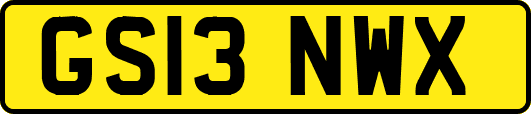 GS13NWX