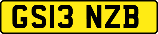 GS13NZB