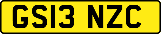 GS13NZC