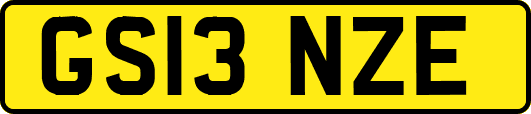 GS13NZE