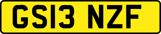 GS13NZF