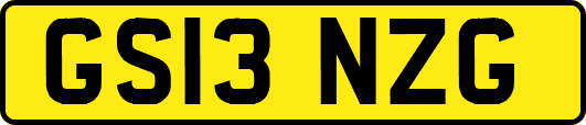 GS13NZG