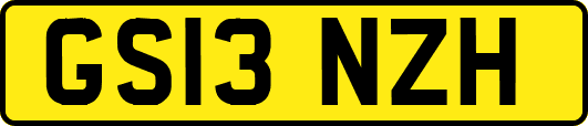 GS13NZH