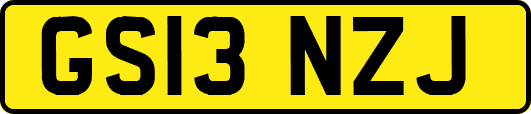 GS13NZJ