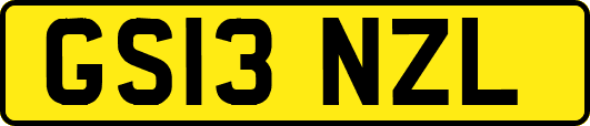 GS13NZL