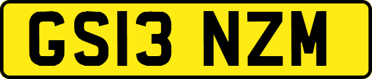 GS13NZM