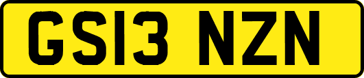 GS13NZN