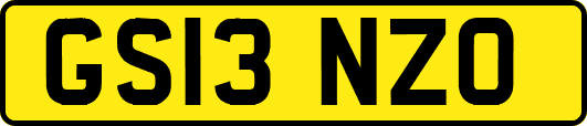 GS13NZO