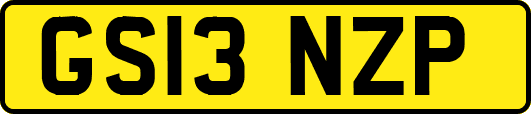 GS13NZP