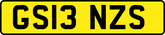 GS13NZS