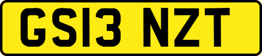 GS13NZT