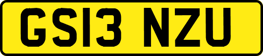 GS13NZU
