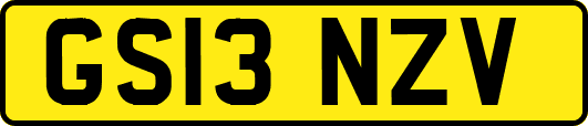GS13NZV