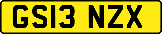 GS13NZX