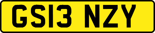 GS13NZY