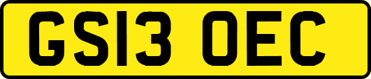 GS13OEC