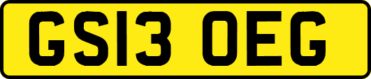 GS13OEG