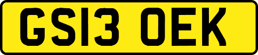 GS13OEK