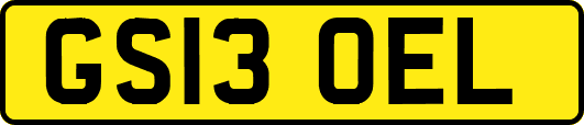 GS13OEL