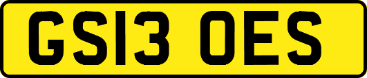 GS13OES