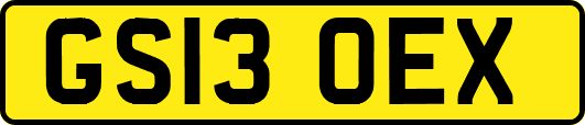 GS13OEX