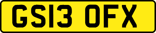 GS13OFX