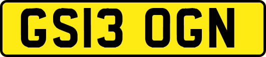 GS13OGN