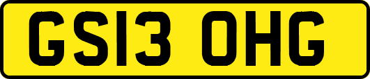 GS13OHG