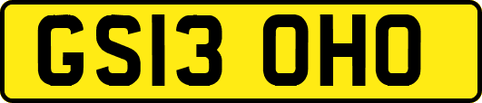 GS13OHO