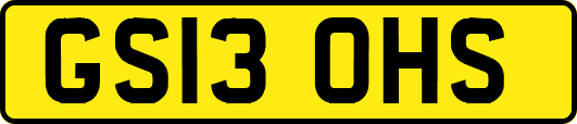 GS13OHS
