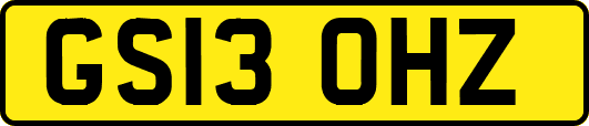 GS13OHZ