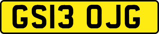 GS13OJG