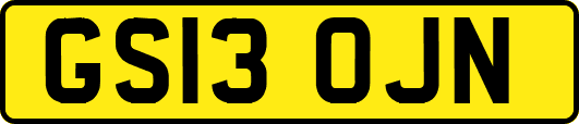 GS13OJN