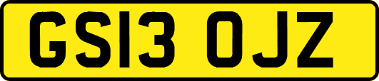 GS13OJZ