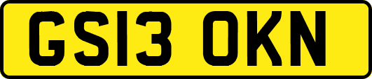 GS13OKN